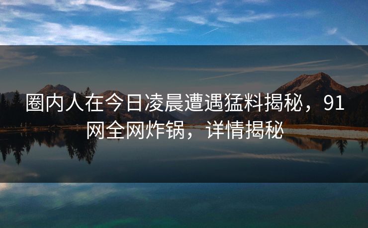 圈内人在今日凌晨遭遇猛料揭秘，91网全网炸锅，详情揭秘
