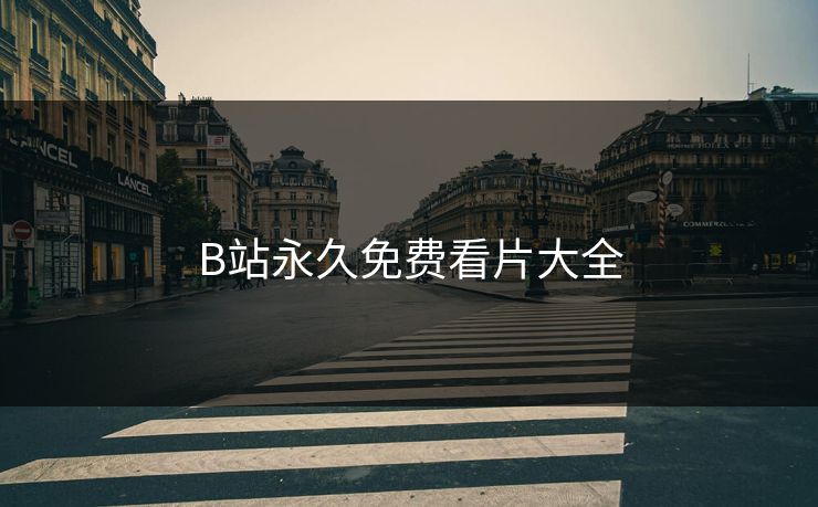 B站永久免费看片大全