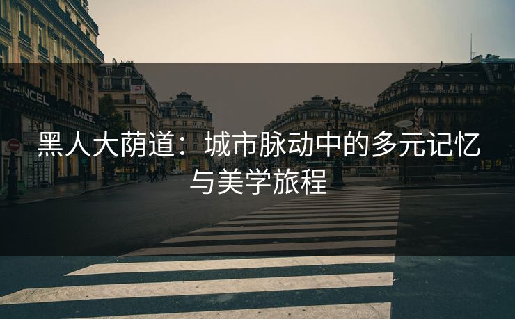 黑人大荫道：城市脉动中的多元记忆与美学旅程
